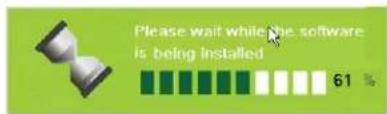 Please wait while the software is being installed 61 %