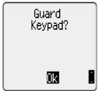 PANASONIC GD75 - Using Key Guard - 1