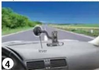 lever ④