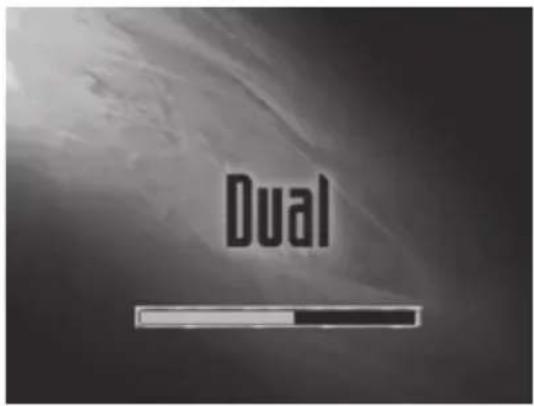 Dual