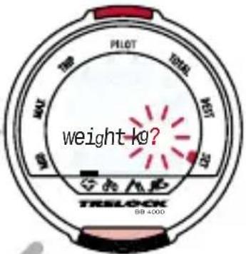 PILOT TOTAL NET weight TRSLOCK 98-4000