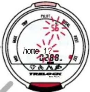 56 home 1? 0.288.