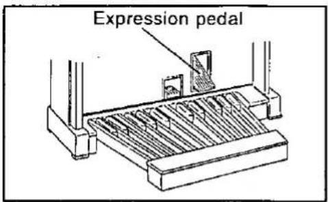 Expression pedal