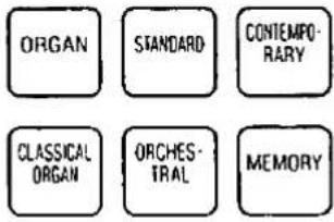 ORGAN STANDARD CONTEMPORARY CLASSICAL ORGAN ORCHESTRAL MEMORY
