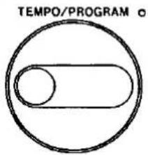 TEMPO/PROGRAM o
