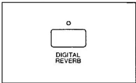 DIGITAL REVERB