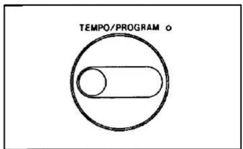 TEMPO/PROGRAM o