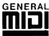 TECHNICS SX-F100 - GENERAL MIDI - 1