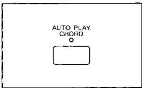 AUTO PLAY CHORD O
