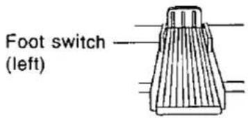 Foot switch (left)