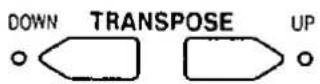 TECHNICS SX-F100 - Transpose - 2