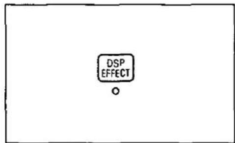 DSP EFFECT ○