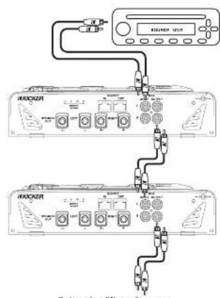 HACKER To Hare Amplifier or Processor