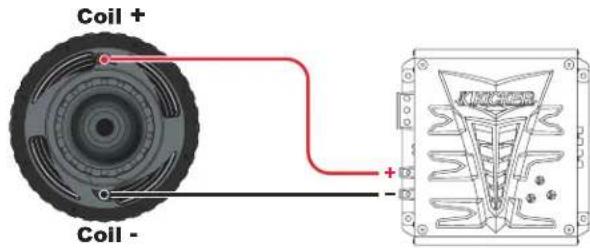 Coil + Coil -