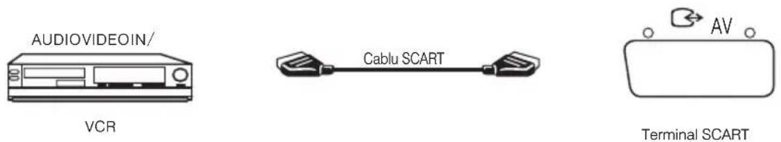 AUDIOVIDEOIN/ VCR Cable SCART AV Terminal SCART