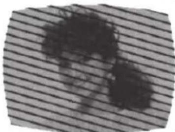 SANSUI HDLCD2212 - RADIO FREQUENCY INTERFERENCE (RFI) - 1