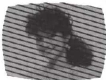 SANSUI HDLCD1912 - RADIO FREQUENCY INTERFERENCE (RFI) - 1
