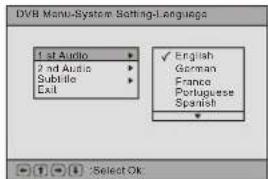 DENVER TFD-1506DVBT - Language - 1