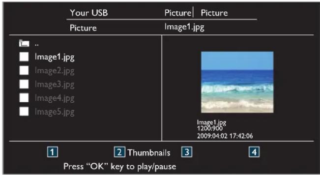 MAGNAVOX 22ME402V - Picture (JPEG) - 1