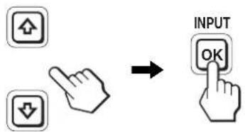 INPUT OK