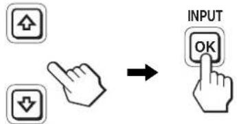INPUT OK