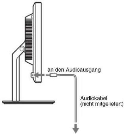 an den Audioausgang Audiokabel (nicht mitgeliefert)