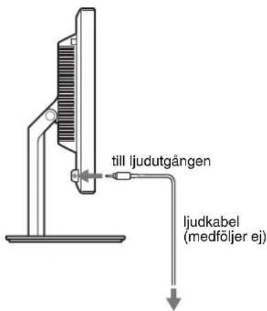 till ljudutgången ljudkabel (medföljer ej)