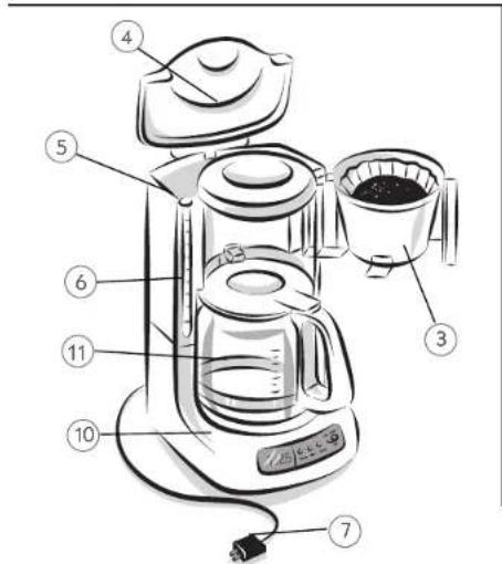 Mr. Coffee AR13 - Características de Su Cafetera - 3