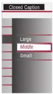 Closed Caption Large Middle Small