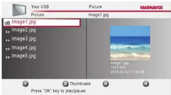Your USB Picture MAGNAVOX Picture Image1.jpg Image2.jpg Image3.jpg Image4.jpg Image5.jpg Image1.jpg 1200:000 2309:04:02 17:42:00 1 2 Thumbnails 3 4 Press "OK" key to play/pause.