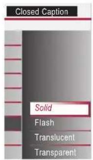 Closed Caption Solid Flash Translucent Transparent