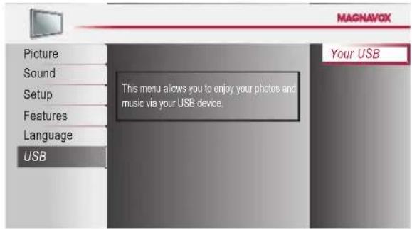 MAGNAVOX Picture Sound Setup Features Language USB This menu allows you to enjoy your photos and music via your USB device. Your USB