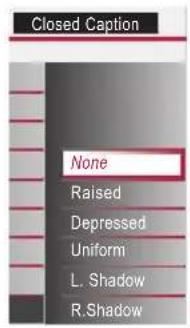 Closed Caption None Raised Depressed Uniform L. Shadow R.Shadow