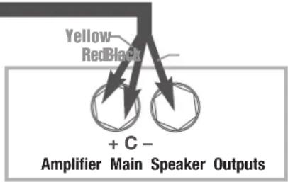 Yellow RedBlack + C - Amplifier Main Speaker Outputs