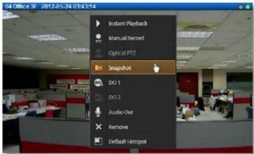 04 Office 3F 2012-05-24 03:43:14 Instant Playback Manual Record Optical PTZ Snapshot DO 1 DO 2 Audio Out Remove Default Hotspot