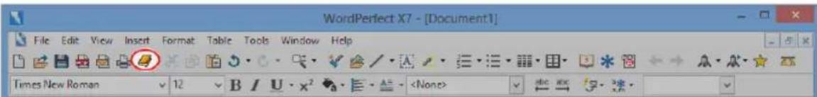 COREL Perfect Authority - Understanding Perfect Authority - 1