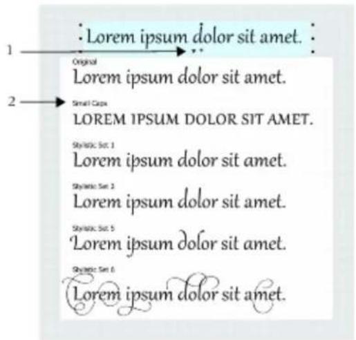 COREL Designer X7 - Working with OpenType features - 1