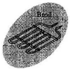 Basil