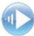 Laser SPK-WFQ10 - WIRELESS WI-FI SPEAKER - 9
