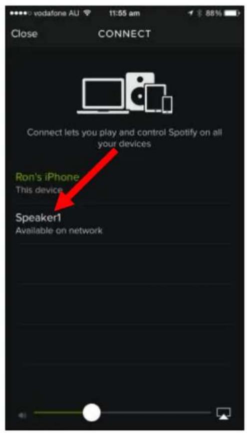 Laser SPK-WFQ10 - Spotify (Premium accounts only) - 3