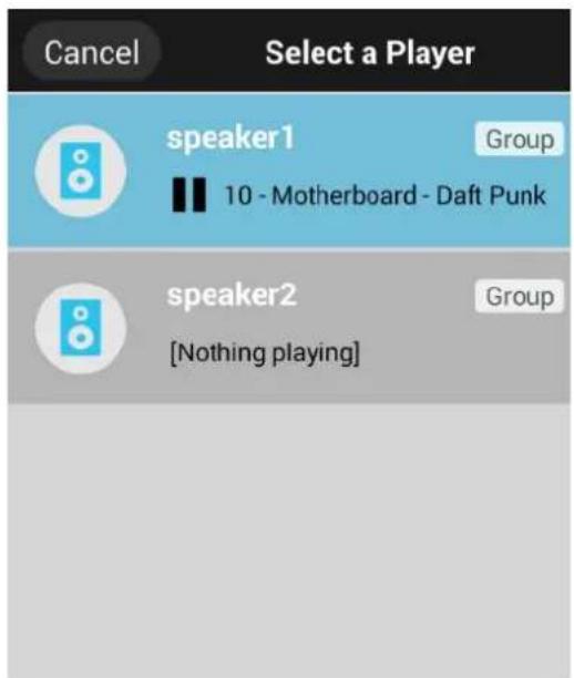 Laser SPK-WFQ10 - MUSIC PLAYBACK - 1