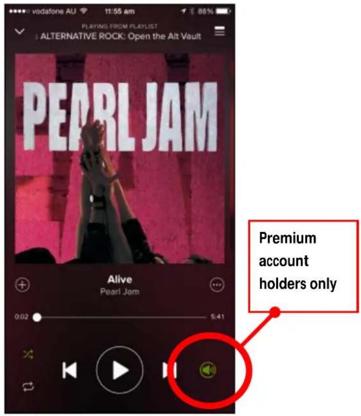 Laser SPK-WFQ10 - Spotify (Premium accounts only) - 4