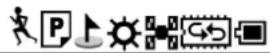 SNOOPER Bike 250 Memory-Map - Status icons. - 1