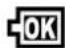SNOOPER Bike 250 Memory-Map - Battery status icons: - 3