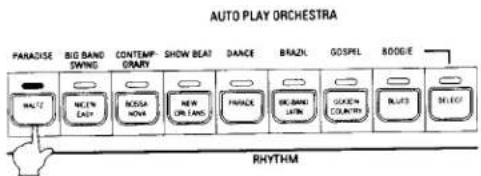graph TD A["PARADISE"] --> B["BIG BAND SWING"] B --> C["CONTEMPORARY"] C --> D["SHOW BEAT"] D --> E["DANCE"] E --> F["BRAZL"] F --> G["GOSPEL"] G --> H["ROOGIE"] H --> I["RHYTHM"] I --> J["REDACTED"]