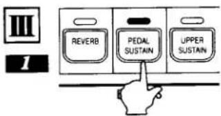 III 1 REVERB PEDAL SUSTAIN UPPER SUSTAIN