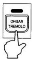 KAWAI XR150 - ORGAN TREMOLO - 1