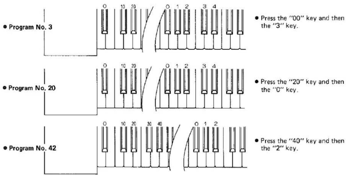 Program No. 3 Press the "00" key and then the "3" key. Program No. 20 Press the "20" key and then the "0" key. Program No. 42 Press the "40" key and then the "2" key.