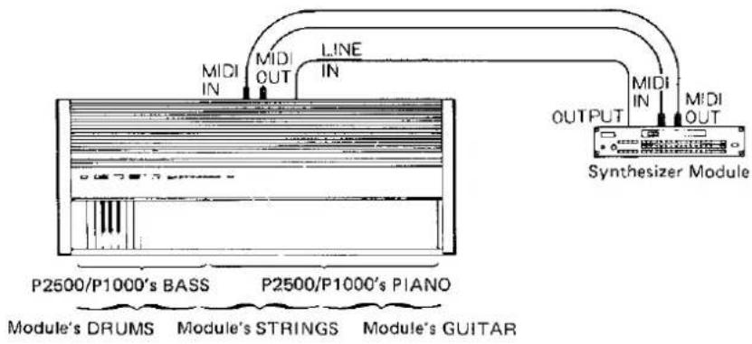 MIDI IN MIDI OUT LINE IN OUTPUT MIDI IN MIDI OUT Synthesizer Module P2500/P1000's BASS P2500/P1000's PIANO Module's DRUMS Module's STRINGS Module's GUITAR