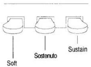graph LR A["Soft"] --> B["Sostenuto"] B --> C["Sustain"]